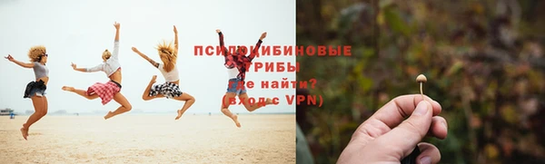 apvp Михайлов