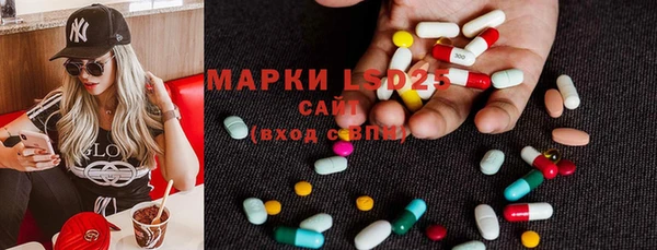 apvp Михайлов