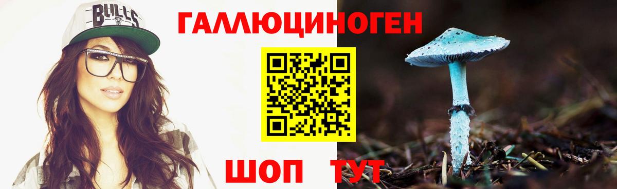 где купить наркоту  Вход с VPN  Черногорск  Псилоцибиновые грибы мицелий 